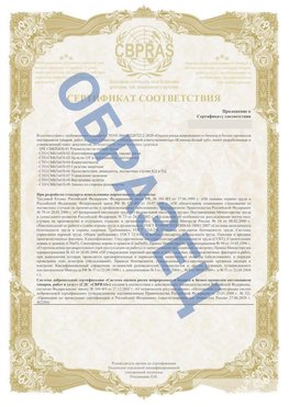 Образец Приложение к СТО 01.064.00220722.2-2020 Орлов Сертификат СТО 01.064.00220722.2-2020 